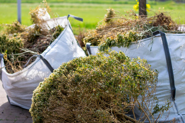 Best Household Junk Removal  in Brown Deer, WI